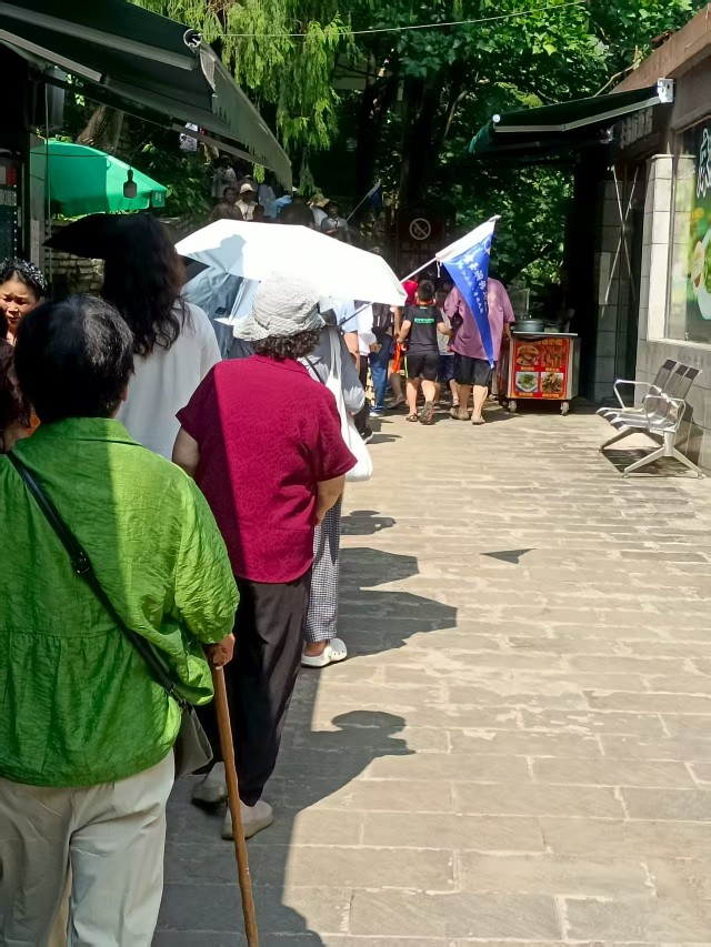 景区出入口处因为拥堵排起长队。受访者供图